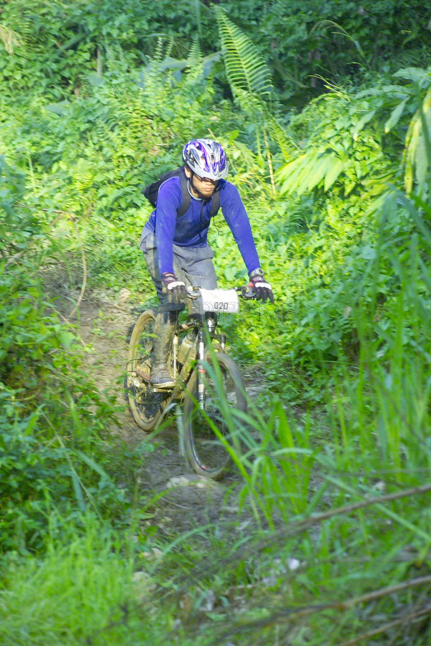 PTPM 06 31 kilau D9X44259